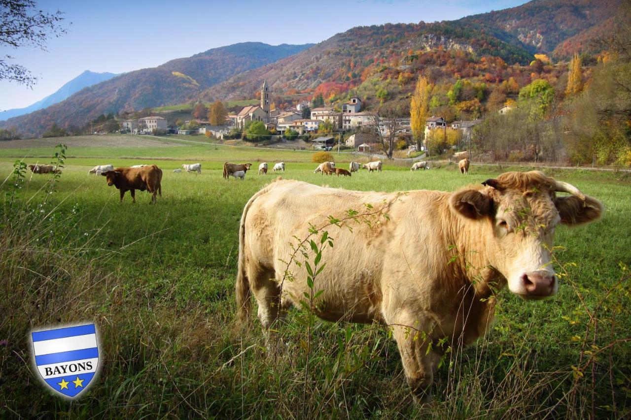 Gite La Taniere Des Alpes Bayons Екстериор снимка